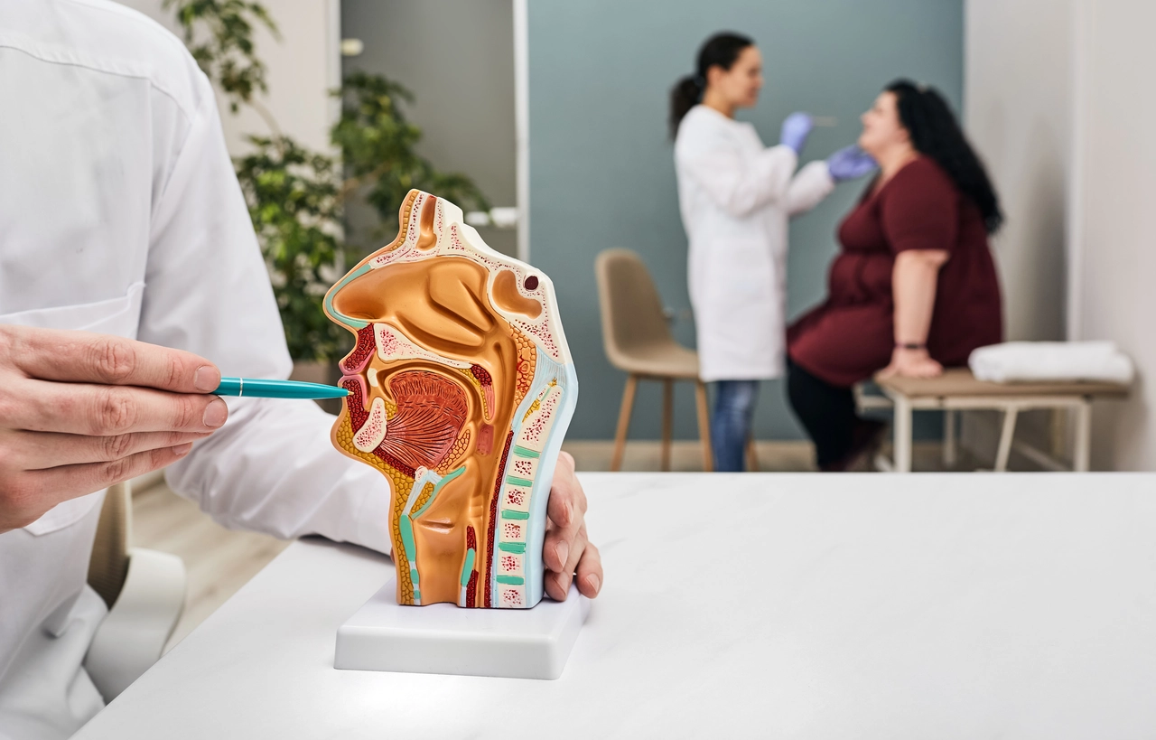 Queste sono le prime vie respiratorie: ecco perché è importante proteggerle